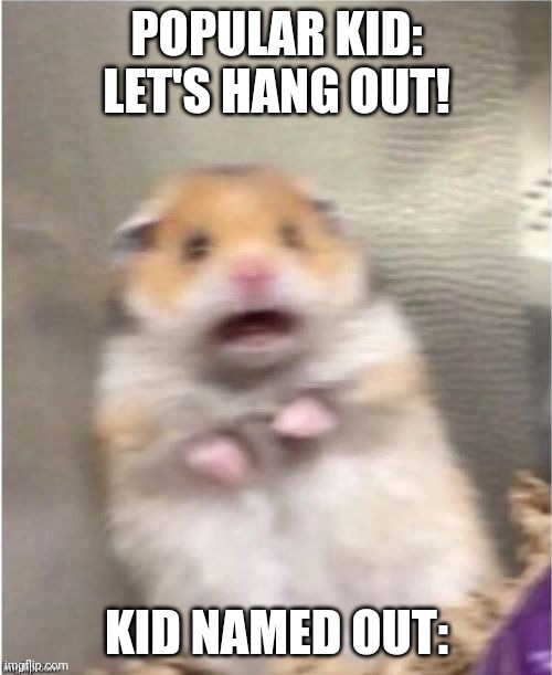 Scared Hamster | POPULAR KID: LET'S HANG OUT! KID NAMED OUT: | image tagged in scared hamster | made w/ Imgflip meme maker