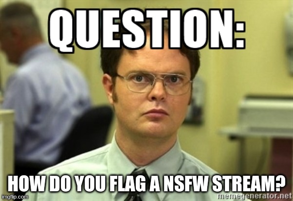 Important question | HOW DO YOU FLAG A NSFW STREAM? | image tagged in dwight question | made w/ Imgflip meme maker