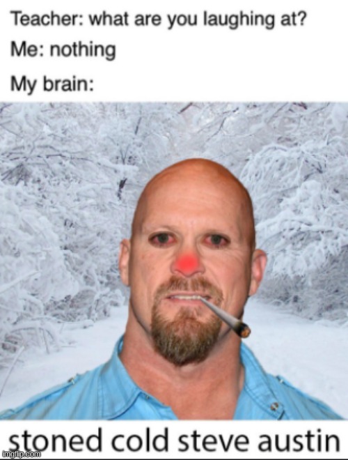 stoned steve | image tagged in stoned steve | made w/ Imgflip meme maker