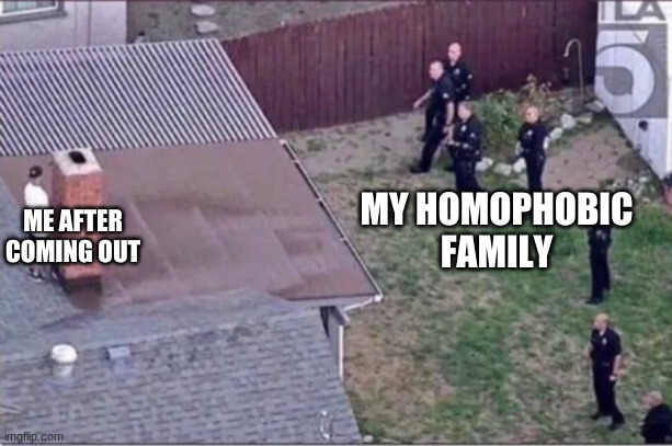 H e h e | MY HOMOPHOBIC FAMILY; ME AFTER COMING OUT | image tagged in guy hiding from cops on roof | made w/ Imgflip meme maker