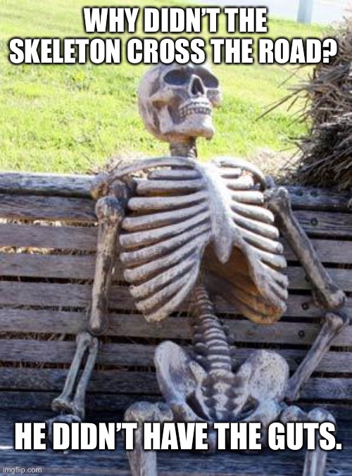 Waiting Skeleton Meme | WHY DIDN’T THE SKELETON CROSS THE ROAD? HE DIDN’T HAVE THE GUTS. | image tagged in memes,waiting skeleton | made w/ Imgflip meme maker