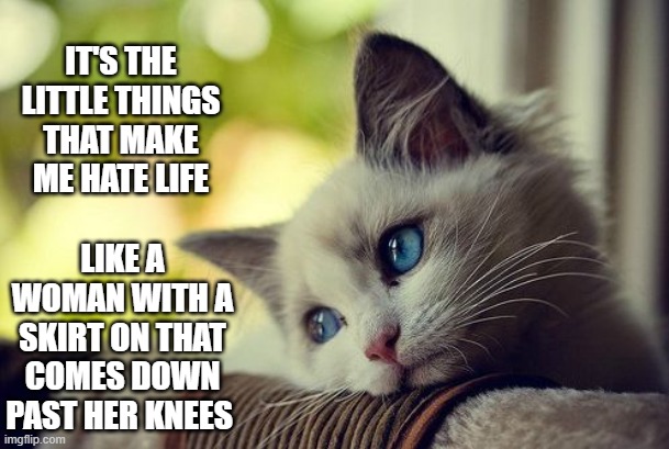 Seriously | IT'S THE LITTLE THINGS THAT MAKE ME HATE LIFE; LIKE A WOMAN WITH A SKIRT ON THAT COMES DOWN PAST HER KNEES | image tagged in memes,first world problems cat,funny,funny memes,cats,hilarious | made w/ Imgflip meme maker