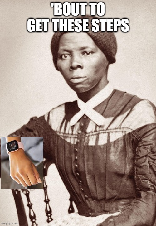 Tubman | 'BOUT TO GET THESE STEPS | image tagged in history | made w/ Imgflip meme maker