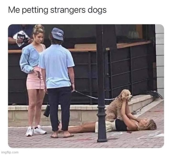 who else | image tagged in repost,dogs,dog,strangers,stranger,funny memes | made w/ Imgflip meme maker