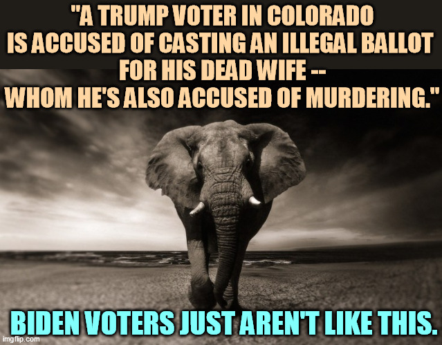 Criminals just gravitate to Trump - birds of a feather.. | "A TRUMP VOTER IN COLORADO IS ACCUSED OF CASTING AN ILLEGAL BALLOT 
FOR HIS DEAD WIFE -- WHOM HE'S ALSO ACCUSED OF MURDERING."; BIDEN VOTERS JUST AREN'T LIKE THIS. | image tagged in republican,election fraud,murder | made w/ Imgflip meme maker