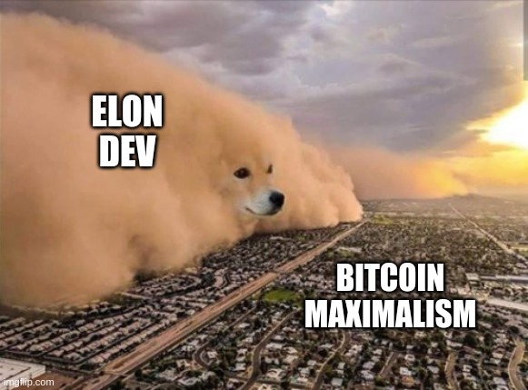 elon musk storm | ELON
DEV; BITCOIN
MAXIMALISM | image tagged in dust storm doge | made w/ Imgflip meme maker