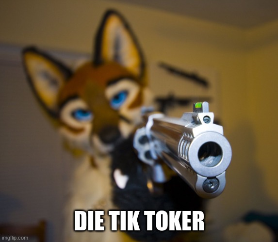 Furry with gun | DIE TIK TOKER | image tagged in furry with gun | made w/ Imgflip meme maker