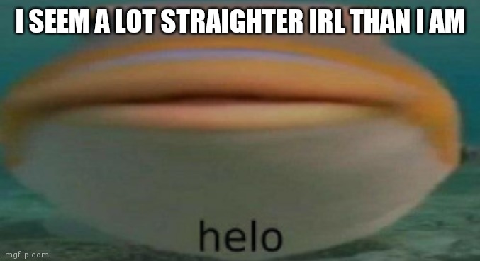 helo | I SEEM A LOT STRAIGHTER IRL THAN I AM | image tagged in helo | made w/ Imgflip meme maker