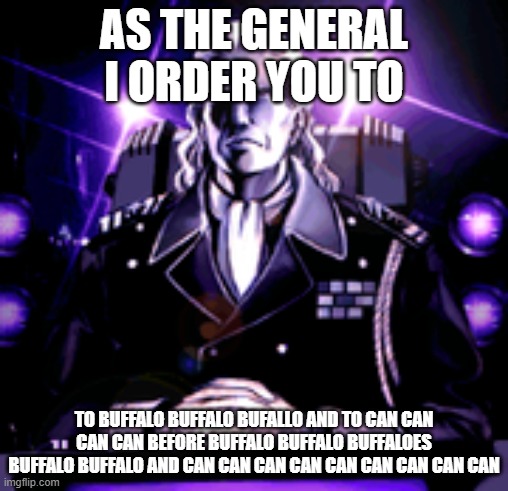 English is weird | AS THE GENERAL I ORDER YOU TO; TO BUFFALO BUFFALO BUFALLO AND TO CAN CAN CAN CAN BEFORE BUFFALO BUFFALO BUFFALOES BUFFALO BUFFALO AND CAN CAN CAN CAN CAN CAN CAN CAN CAN | image tagged in english,language,general,dodonpachi | made w/ Imgflip meme maker