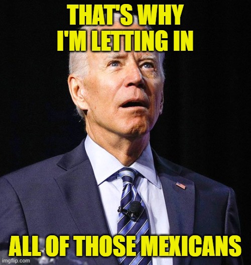 Joe Biden | THAT'S WHY I'M LETTING IN ALL OF THOSE MEXICANS | image tagged in joe biden | made w/ Imgflip meme maker
