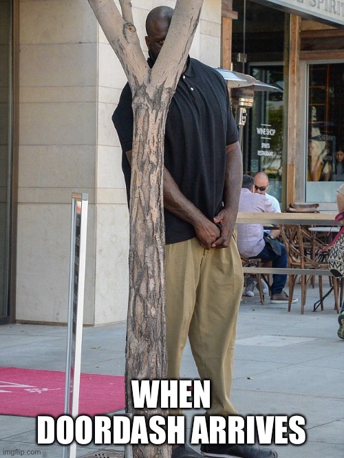 man hiding behind a tree/pole | WHEN DOORDASH ARRIVES | image tagged in man hiding behind a tree/pole | made w/ Imgflip meme maker