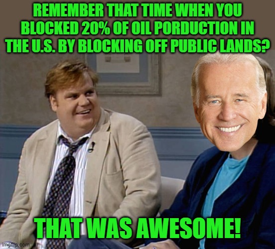 Remember when | REMEMBER THAT TIME WHEN YOU BLOCKED 20% OF OIL PORDUCTION IN THE U.S. BY BLOCKING OFF PUBLIC LANDS? THAT WAS AWESOME! | image tagged in remember when | made w/ Imgflip meme maker