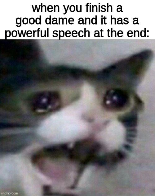 crying cat | when you finish a good dame and it has a powerful speech at the end: | image tagged in crying cat | made w/ Imgflip meme maker