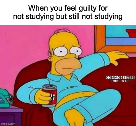 Its relatable and you know it is | When you feel guilty for not studying but still not studying | image tagged in studying,lol,memes,test,homer simpson,guilty | made w/ Imgflip meme maker