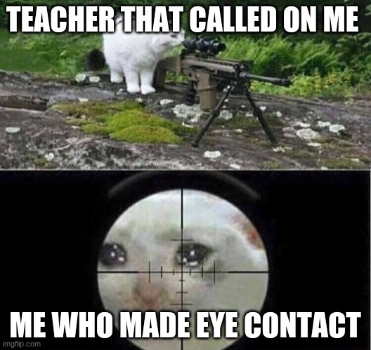 Sniper cat |  TEACHER THAT CALLED ON ME; ME WHO MADE EYE CONTACT | image tagged in sniper cat | made w/ Imgflip meme maker