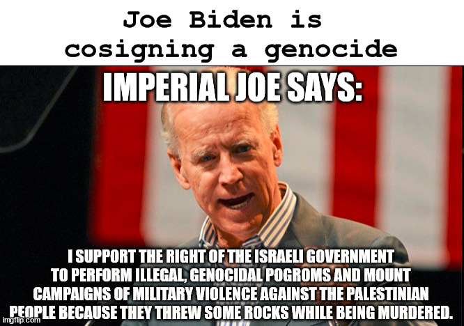 What is happening in Gaza is a genocide |  Joe Biden is 
cosigning a genocide | image tagged in politics | made w/ Imgflip meme maker
