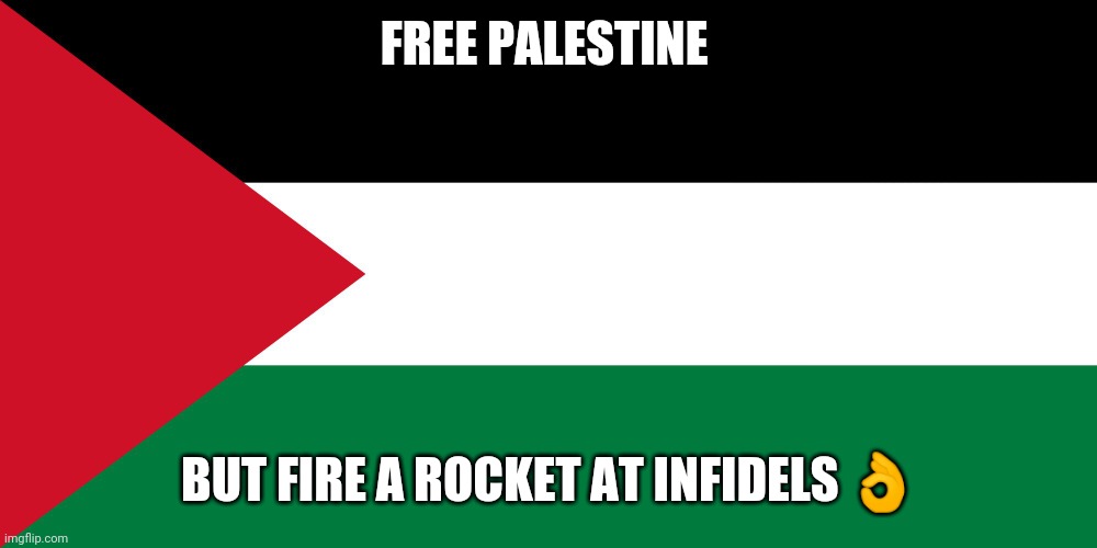 Hey Palestine  violence doesn't solve anything | FREE PALESTINE; BUT FIRE A ROCKET AT INFIDELS 👌 | image tagged in palestine | made w/ Imgflip meme maker