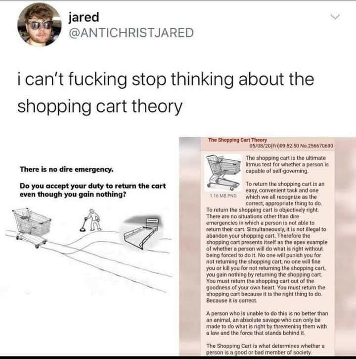 High Quality Shopping cart theory Blank Meme Template