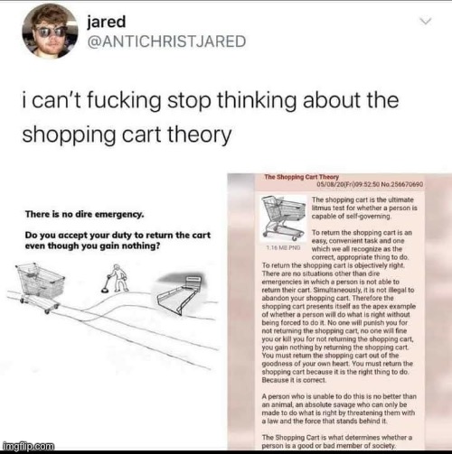 Shopping cart theory | image tagged in shopping cart theory,repost,philosophy,reposts,reposts are awesome,assholes | made w/ Imgflip meme maker
