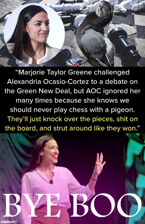 We could all learn from her example. Next time you see a know-nothing troll, don’t engage. Ghost ‘em. | image tagged in aoc vs marjorie taylor-greene,aoc bye boo | made w/ Imgflip meme maker