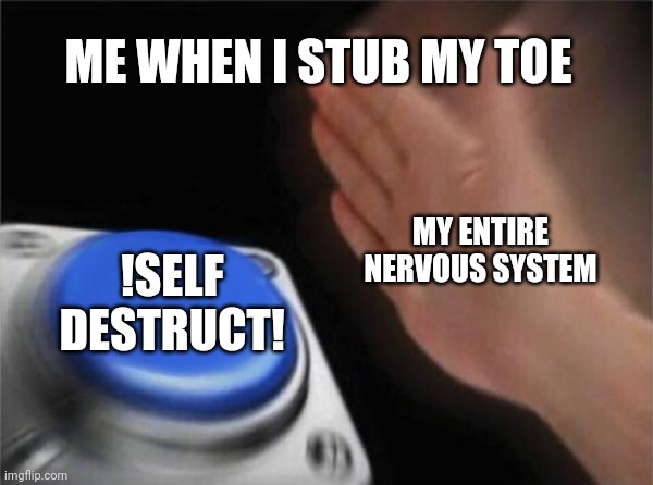 Blank Nut Button Meme | ME WHEN I STUB MY TOE; MY ENTIRE NERVOUS SYSTEM; !SELF DESTRUCT! | image tagged in memes,blank nut button | made w/ Imgflip meme maker