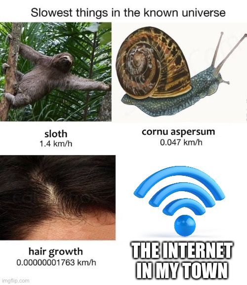 Slow internet | THE INTERNET IN MY TOWN | image tagged in slowest things,internet,telstra,nbn | made w/ Imgflip meme maker