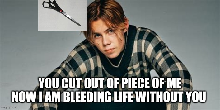 kid laroi | YOU CUT OUT OF PIECE OF ME NOW I AM BLEEDING LIFE WITHOUT YOU | image tagged in kid,laroi,kid laroi,cut | made w/ Imgflip meme maker