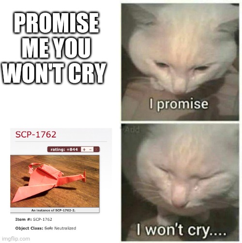 I promise I won't cry | PROMISE ME YOU WON'T CRY | image tagged in i promise i won't cry | made w/ Imgflip meme maker