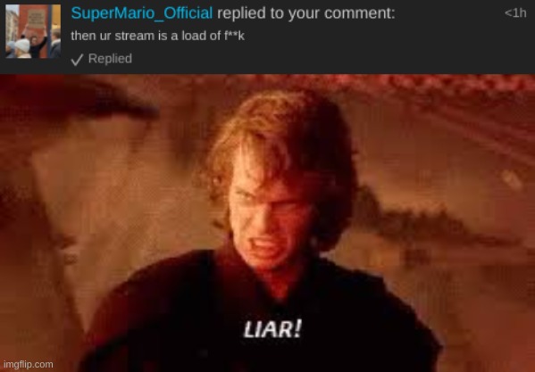 He Is Talking About TheLuckyNSAC, Not Ms_Memer_Group | image tagged in anakin liar | made w/ Imgflip meme maker