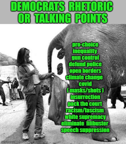 elephant poop | DEMOCRATS  RHETORIC 
OR  TALKING  POINTS; pro-choice
inequality 
gun control
defund police
open borders
 climate change   
covid
( masks/shots )
insurrection
pack the court 
racism/fascism 
white supremacy
eliminate  filibuster 
speech suppression | image tagged in political humor,talking points,democrats,liberal agenda,rights,covid 19 | made w/ Imgflip meme maker
