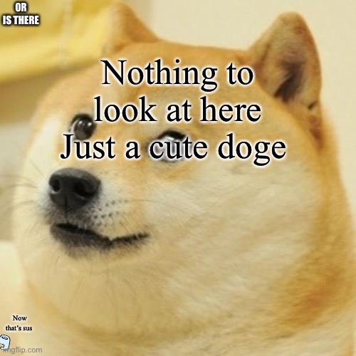 Doge | Nothing to look at here Just a cute doge; OR IS THERE; Now that’s sus | image tagged in memes,doge | made w/ Imgflip meme maker
