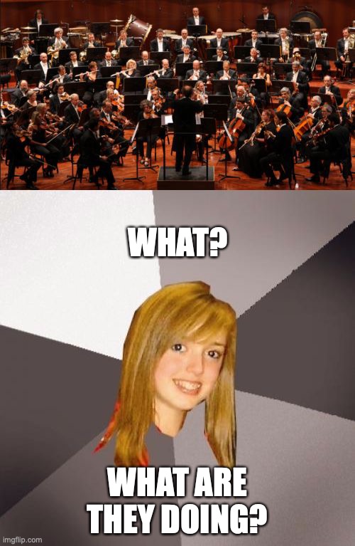 Most teenage girls in a nutshell | WHAT? WHAT ARE THEY DOING? | image tagged in classical musically oblivious 8th grader meme,teenagers,in a nutshell | made w/ Imgflip meme maker