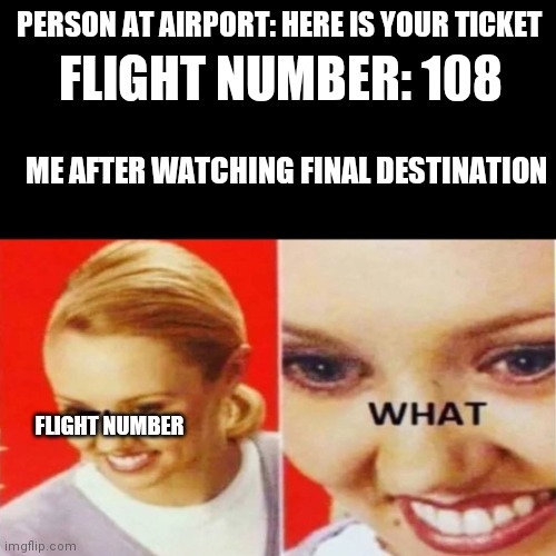 Airplanes, and cars, and roller coasters oh my! |  PERSON AT AIRPORT: HERE IS YOUR TICKET; FLIGHT NUMBER: 108; ME AFTER WATCHING FINAL DESTINATION; FLIGHT NUMBER | image tagged in the what,final destination,funny meme,lol,airplane | made w/ Imgflip meme maker