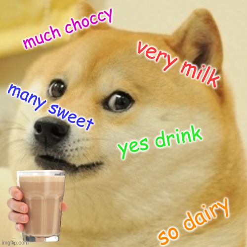 choccy milk | much choccy; very milk; many sweet; yes drink; so dairy | image tagged in memes,doge | made w/ Imgflip meme maker