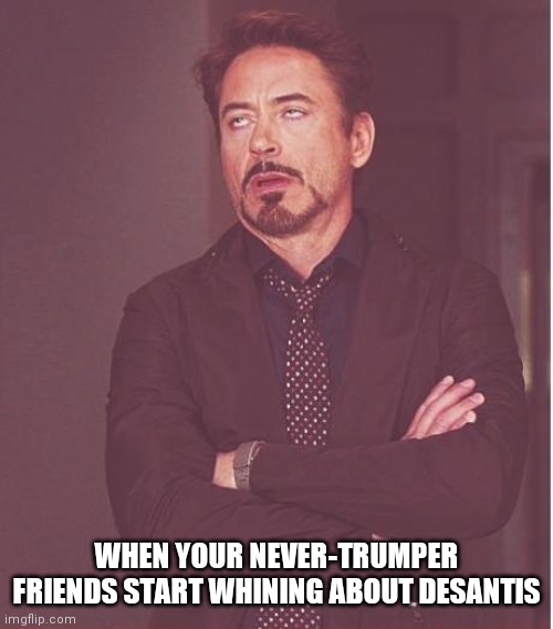 The crybabies are back | WHEN YOUR NEVER-TRUMPER FRIENDS START WHINING ABOUT DESANTIS | image tagged in memes,face you make robert downey jr,trump,governor,florida | made w/ Imgflip meme maker