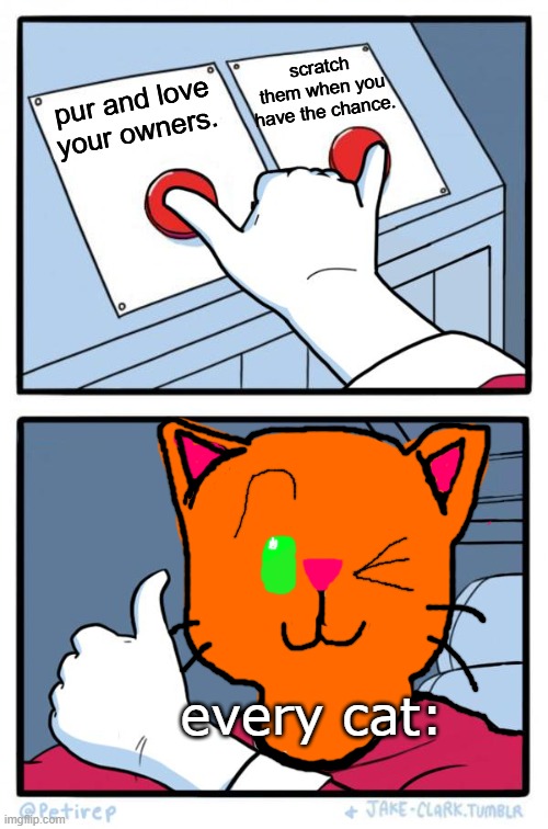 PURfect logic | scratch them when you have the chance. pur and love your owners. every cat: | image tagged in both buttons pressed | made w/ Imgflip meme maker