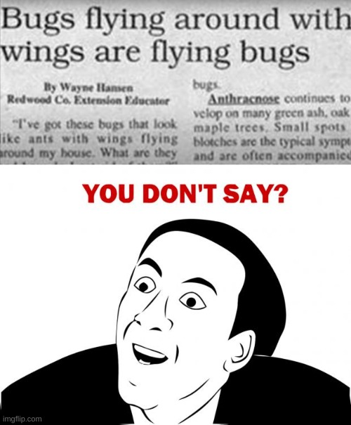 image tagged in memes,you don't say,stupid,newspaper | made w/ Imgflip meme maker