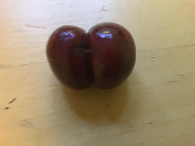 Found a thicc cherry | made w/ Imgflip meme maker