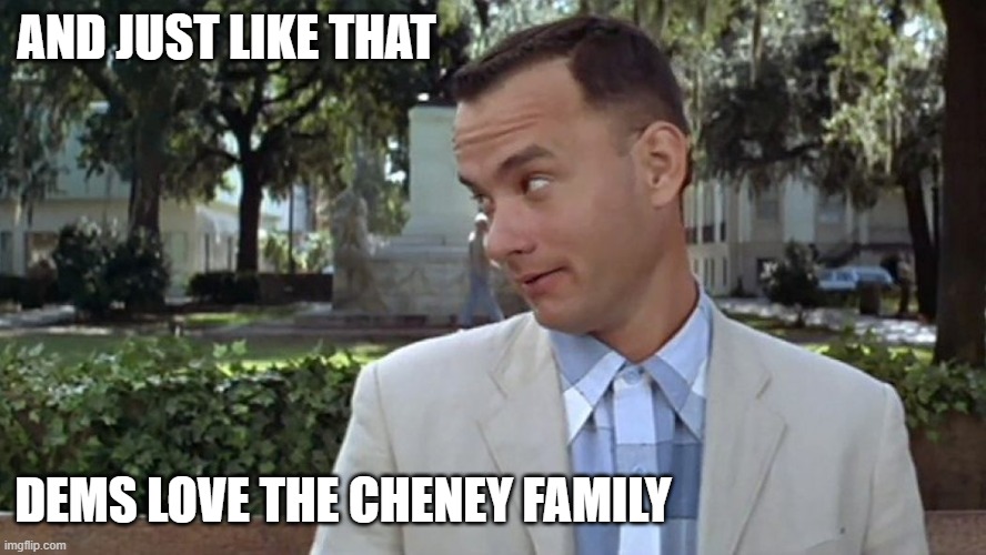 Forrest Gump Face | AND JUST LIKE THAT DEMS LOVE THE CHENEY FAMILY | image tagged in forrest gump face | made w/ Imgflip meme maker