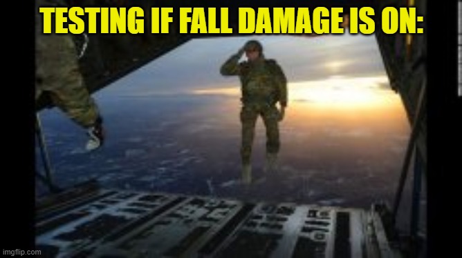 Should've jumped from a lower place first- | TESTING IF FALL DAMAGE IS ON: | image tagged in f in chat | made w/ Imgflip meme maker