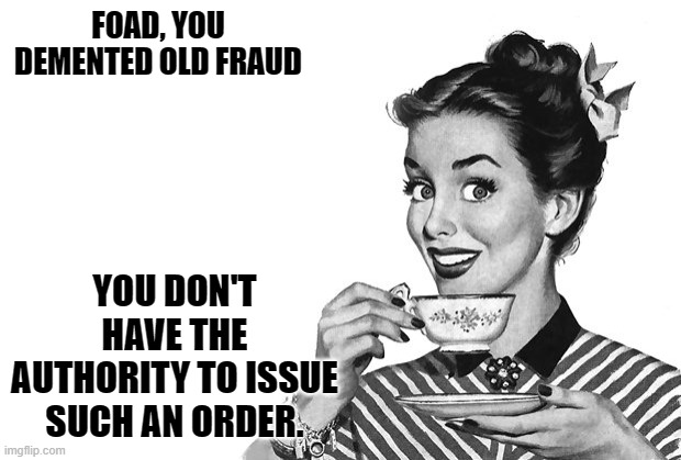 1950s Housewife | FOAD, YOU DEMENTED OLD FRAUD YOU DON'T HAVE THE AUTHORITY TO ISSUE SUCH AN ORDER. | image tagged in 1950s housewife | made w/ Imgflip meme maker