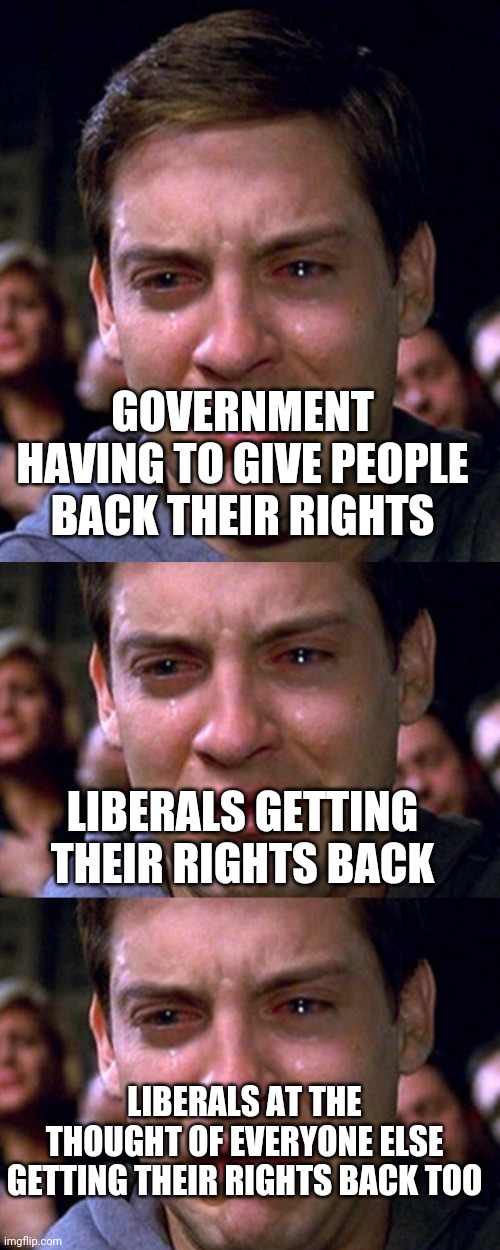 GOVERNMENT HAVING TO GIVE PEOPLE BACK THEIR RIGHTS; LIBERALS GETTING THEIR RIGHTS BACK; LIBERALS AT THE THOUGHT OF EVERYONE ELSE GETTING THEIR RIGHTS BACK TOO | image tagged in crying peter parker | made w/ Imgflip meme maker