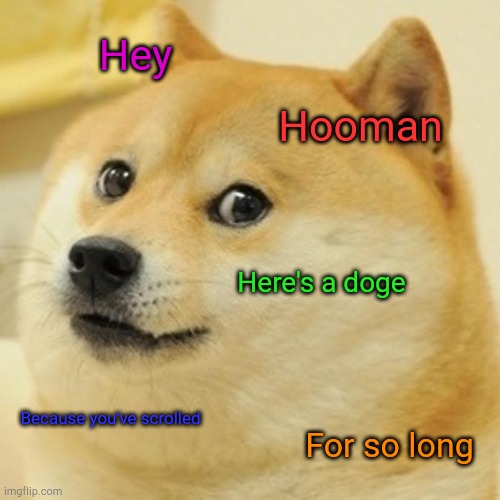 Stop scrolling and check this out. | Hey; Hooman; Here's a doge; Because you've scrolled; For so long | image tagged in memes,doge | made w/ Imgflip meme maker