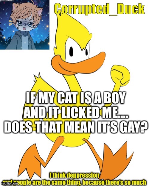 Hahaha | IF MY CAT IS A BOY AND IT LICKED ME.... DOES THAT MEAN IT’S GAY? | made w/ Imgflip meme maker