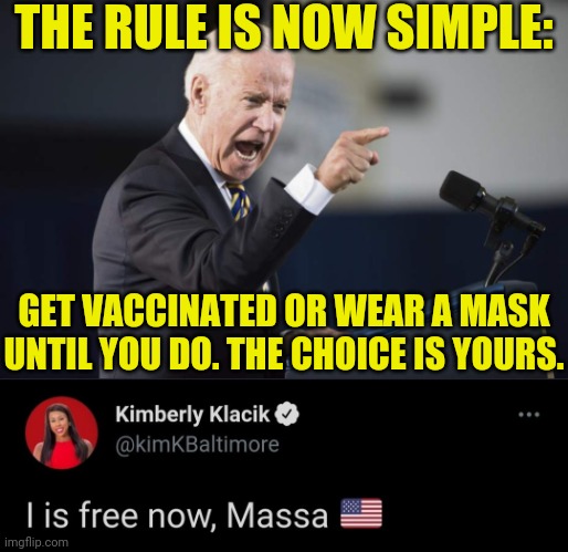 The Best response I've seen to pedo joe and his tyrannical Unconstitutional "presidential" orders. | THE RULE IS NOW SIMPLE:; GET VACCINATED OR WEAR A MASK UNTIL YOU DO. THE CHOICE IS YOURS. | image tagged in joe biden,traitor,election fraud,face mask,covid-19,constitution,ConservativesOnly | made w/ Imgflip meme maker