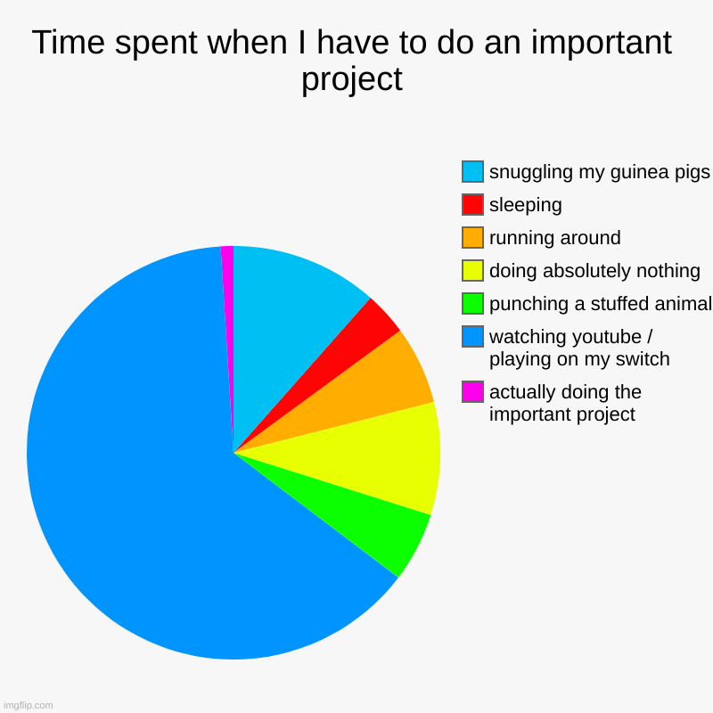 no cap this is me | Time spent when I have to do an important project | actually doing the important project, watching youtube / playing on my switch, punching  | image tagged in charts,pie charts | made w/ Imgflip chart maker