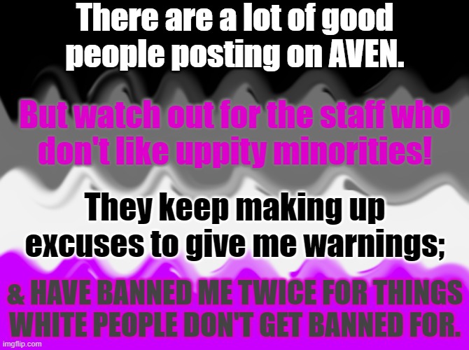The Asexuality Visibility & Education Network | There are a lot of good
people posting on AVEN. But watch out for the staff who
don't like uppity minorities! They keep making up excuses to give me warnings;; & HAVE BANNED ME TWICE FOR THINGS WHITE PEOPLE DON'T GET BANNED FOR. | image tagged in artistic asexual flag,discrimination,racism | made w/ Imgflip meme maker