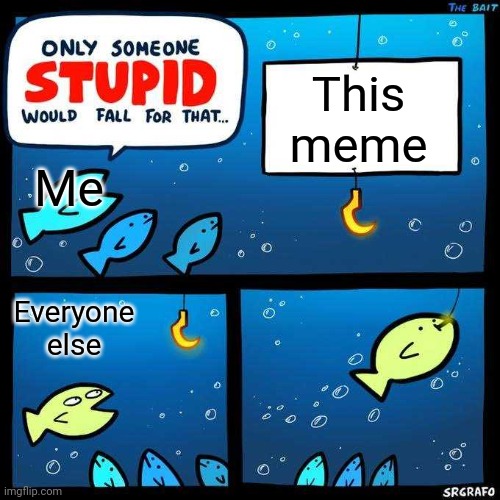 Only someone stupid would fall for that | This meme Everyone else Me | image tagged in only someone stupid would fall for that | made w/ Imgflip meme maker