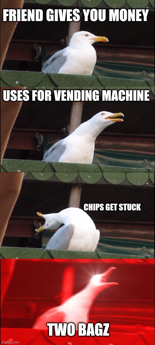Inhaling Seagull Meme | FRIEND GIVES YOU MONEY; USES FOR VENDING MACHINE; CHIPS GET STUCK; TWO BAGZ | image tagged in memes,inhaling seagull | made w/ Imgflip meme maker
