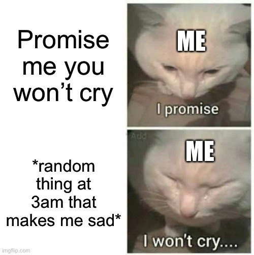 I promise I won't cry | Promise me you won’t cry; ME; *random thing at 3am that makes me sad*; ME | image tagged in i promise i won't cry | made w/ Imgflip meme maker